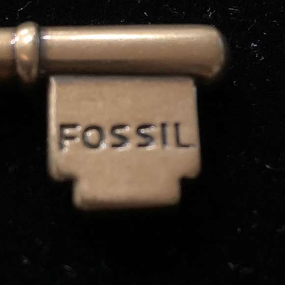 Fossil Lock & Key Accessories - Picture 2 of 7
